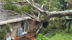 A large fallen tree has severely damaged a tile roof and guttering of a suburban brick home following Cyclone Alfred, highlighting storm-related property damage.