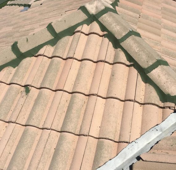 Roof Cleaning in the Gold Coast