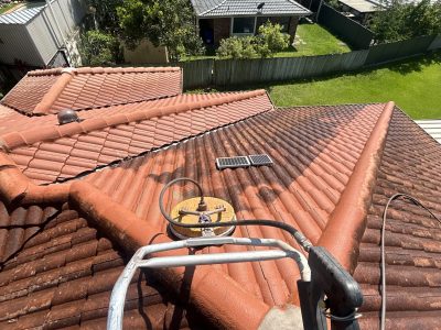 roof cleaning gold coast